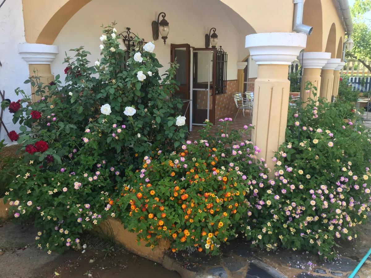Finca La Rosalia Setenil De Las Bodegas Εξωτερικό φωτογραφία